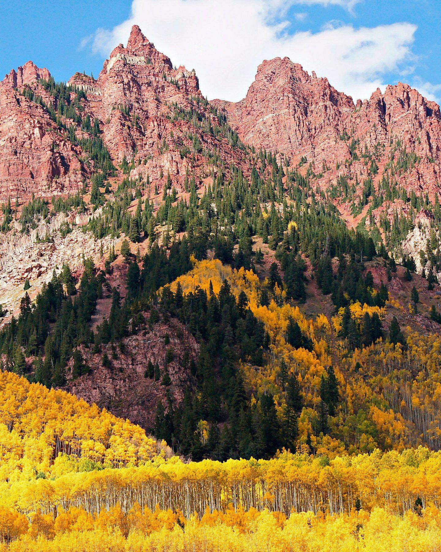 Golden aspen groves below the red rock ridgeline of the Maroon Bells–Snowmass Wilderness in Colorado in autumn